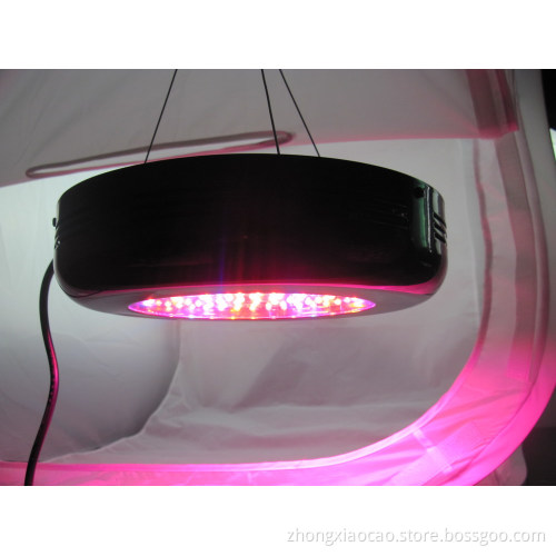 90W led grow light blue factory promotion for best flowering